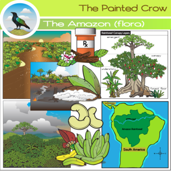Preview of Amazon Rainforest Plants and Trees Clip Art Set