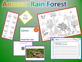 Amazon Rain Forest - Discover and build