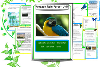 Preview of Amazon Rain Forest Biodiversity, Characteristics, and Conservation NGSS Unit