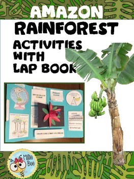 Preview of Amazon Rainforest Activities with Lapbook 3rd Grade