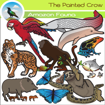 Amazon Rainforest Animals Clip Art Set by The Painted Crow | TPT
