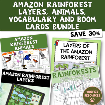 Amazon Rainforest Bundle | Animals | Layers | Vocabulary | Boom Cards