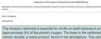 Preview of Amazon Rainforest Document-Based Writing