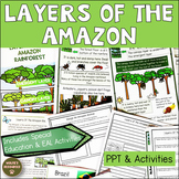 Amazon Rainforest Layers | 2-LS4-1 | Animals | Habitats | 