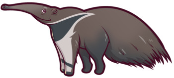 Preview of Amazon Rainforest Learning Series - Animals - Episode 2 - Giant Anteater