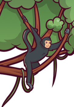 Preview of Amazon Rainforest Learning Series - Episode 42 - Red Faced Spider Monkey