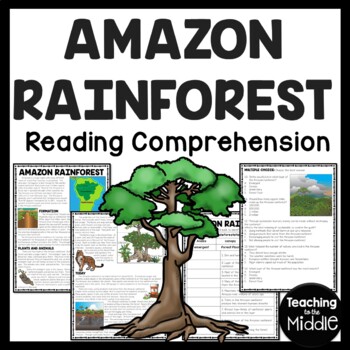 Preview of Amazon Rainforest Reading Comprehension Worksheet South America Rain Forest