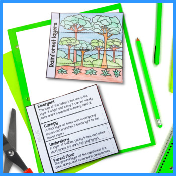 Forest Animals Foldable Graphic Organizer