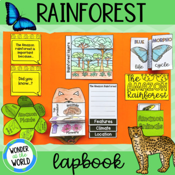 Preview of Amazon rainforest plants and animals lapbook project with foldable activities