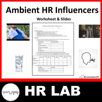 Preview of Ambient Heart Rate: Influencers Worksheet and Slides