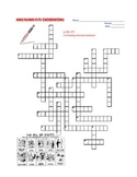 Amendments Crossword Puzzle Review - constitution united s