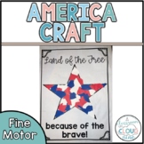 America Craft | Memorial Day Craft | 4th of July Craft | F