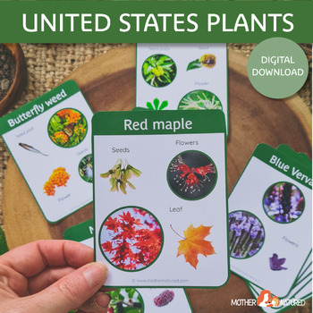 Preview of America Plant Identification | United States Plant Identification | Native Plant