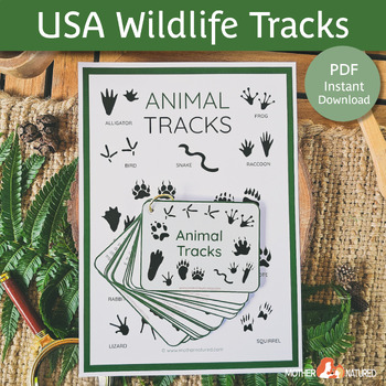 Preview of American Animal Tracks Guide | Animal Tracking for Kids | USA Wildlife