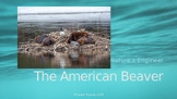 American Beaver Unit PowerPoint with Quiz