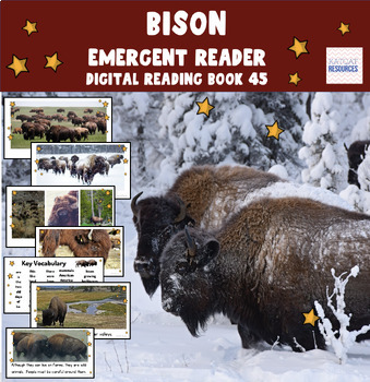 Preview of American Bison Buffalo - Emergent Reader - Google Slides™ ebook - 0045