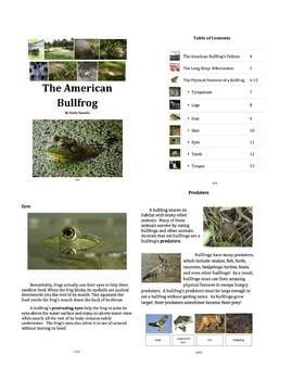 Preview of American Bullfrog: Text-Based Exploration of a Fascinating Frog