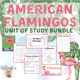 Preview of American Flamingo Unit BUNDLE! Writing, Bulletin Board, PowerPoint Reader & more