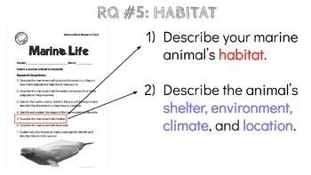 Preview of American Reading Company (ARC) Grade 3 Unit 4 Week 4 Slides