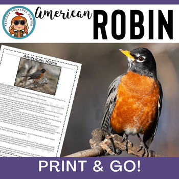 Preview of American Robin | Bird research page for animal reports or reading