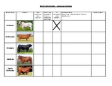 American Show Cattle Breeds Notes