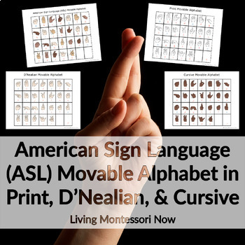 Preview of American Sign Language (ASL) Movable Alphabet in Print, D'Nealian, and Cursive