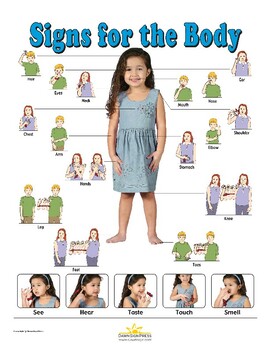 Preview of American Sign Language (ASL) Signs for the Body Poster