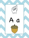 American Sign Lanugage Alphabet Posters And Word Wall Cards