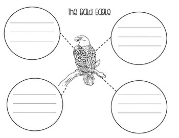 Download American Symbols: Graphic Organizers and Coloring Pages | TpT