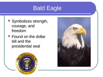Preview of American Symbols Powerpoint
