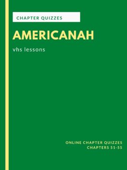 Preview of Americanah: Chapter Quizzes for chapters 51-55 [Distance Learning]