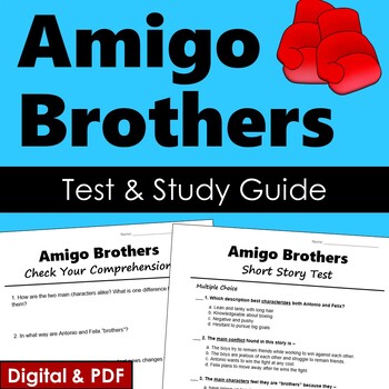 Preview of Amigo Brothers Test & Study Guide - PDF & Digital