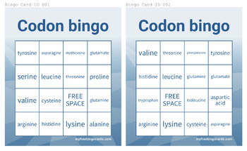 Preview of Amino Acid/Codon Bingo