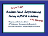 Amino Acid Sequencing and Protein Chains