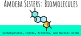 Amoeba Sisters: Biomolecules Video Note Guide