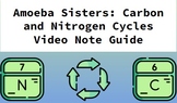 Amoeba Sisters: Carbon and Nitrogen Cycles Note Guide