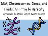 Amoeba Sisters DNA, Chromosomes, Genes, and Traits: Intro 
