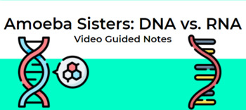 Preview of Amoeba Sisters: DNA vs. RNA Video Guided Notes