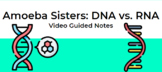 Amoeba Sisters: DNA vs. RNA Video Guided Notes