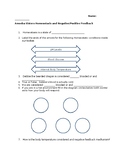 Amoeba Sisters Homeostasis and Negative/Positive Feedback