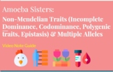 Amoeba Sisters: Non-Mendelian Traits & Multiple Alleles Vi