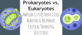 Amoeba Sisters: Prokaryotes vs. Eukaryotes 