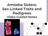Amoeba Sisters: Sex-Linked Traits & Pedigrees Note Guides