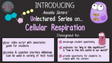 Amoeba Sisters Unlectured Series- CELLULAR RESPIRATION