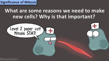 Amoeba Sisters Unlectured Series- MITOSIS by Amoeba Sisters LLC | TpT