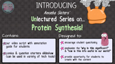 Amoeba Sisters Unlectured Series- PROTEIN SYNTHESIS