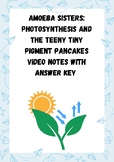Amoeba Sisters Video Guided Notes Photosynthesis