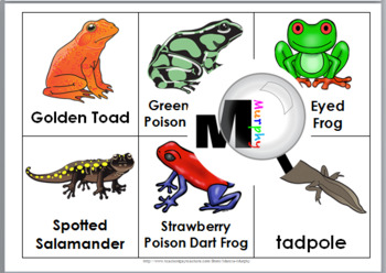 Bingo Printable - Amphibian Bingo - Animal Classification for Kids