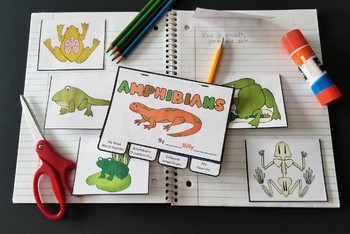 Amphibian Bundle - Lesson Plan, Photos, Worksheets and Activities