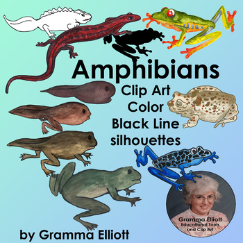 Preview of Amphibian Clip Art Semi Realistic Style Color Black Line and Silhouettes